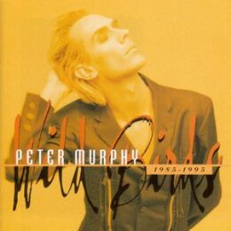 MURPHY, PETER - WILD BIRDS - CD