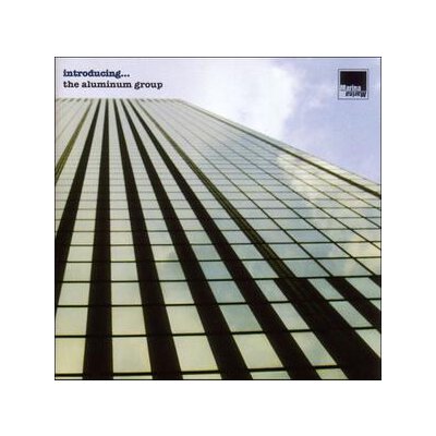 ALUMINUM GROUP, THE - INTRODUCING - CD