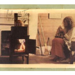 LOST IN THE TREES - ALL ALONE IN AN EMPTY HOUSE - CD