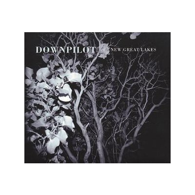 DOWNPILOT - NEW GREAT LAKES - LP