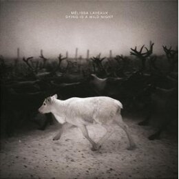 LAVEAUX, MELISSA - DYING IS A WILD NIGHT - LP