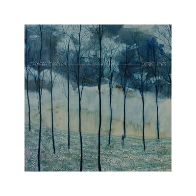 CAMERA OBSCURA - DESIRE LINES - CD