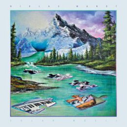 WANDT, NIKLAS - SOLAR MÜSLI - CD