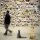 EVIDENCE - CATS & DOGS - LP
