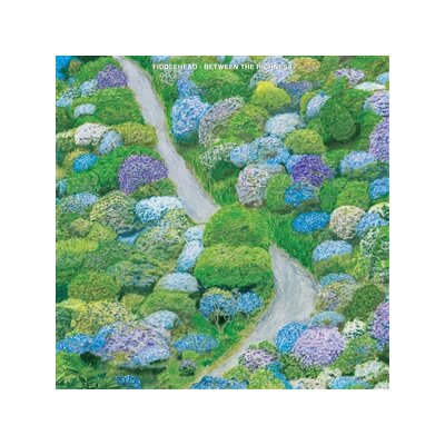 FIDDLEHEAD - BETWEEN THE RICHNESS - CD
