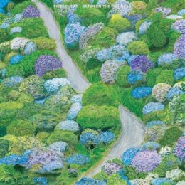 FIDDLEHEAD - BETWEEN THE RICHNESS - CD