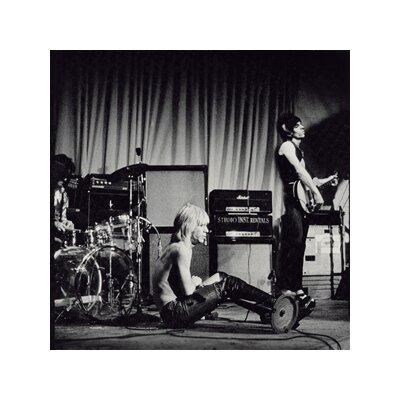 STOOGES, THE - WHISKEY A GO-GO (2021 SPLATTER VINYL) - LP