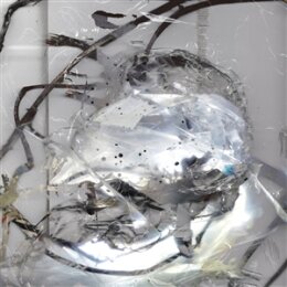 PERILA - HOW MUCH TIME IT IS BETWEEN YOU AND ME? - LP