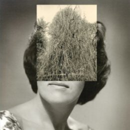 CRASH NORMAL - YOUR BODY GOT A LAND - LP