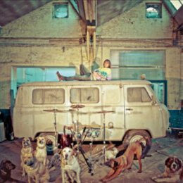 USÉ - CHIEN DLA CASSE - CD