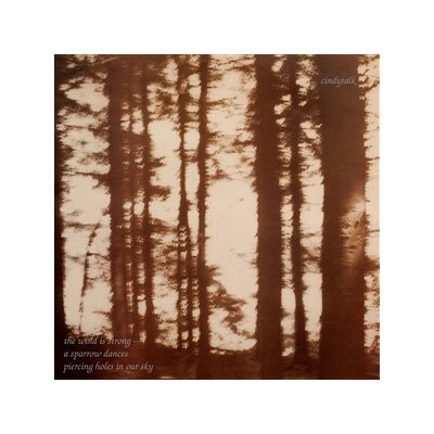 CINDYTALK - THE WIND IS STRONG... - CD