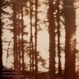 CINDYTALK - THE WIND IS STRONG... - CD