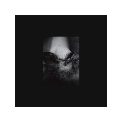 COMMON EIDER/KING EIDER - A WOUND OF BODY - LP