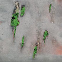 KORELESS - AGOR - CD