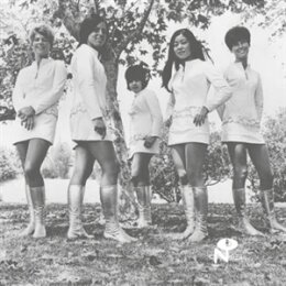 FEMALE SPECIES - TALE OF MY LOST LOVE - LP