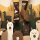 Many Mornings Socks - Fluffy Alpaca - Kids Socken 23-26