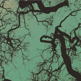 FÖLLAKZOID - FÖLLAKZOID (GALAXY GREEN VINYL) - LP