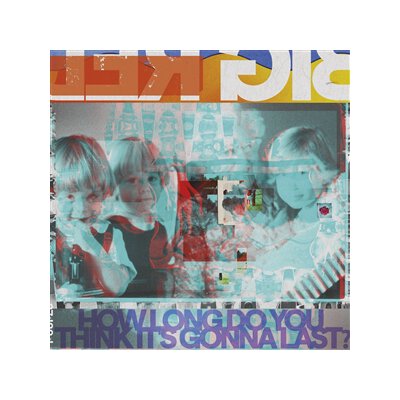 BIG RED MACHINE - HOW LONG DO YOU THINK ITS GONNA LAST? - LP