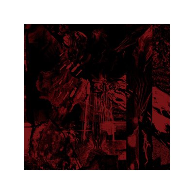 VESSEL OF INIQUITY - THE DOORWAY - LP