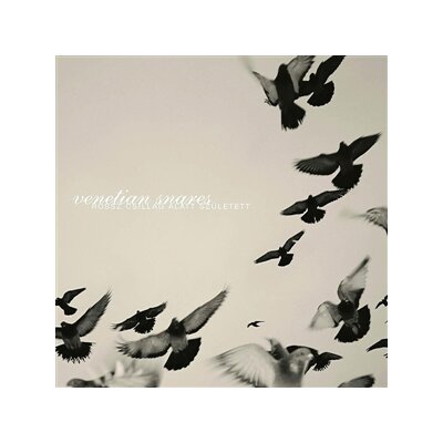 VENETIAN SNARES - ROSSZ CSILLAG ALATT SZULETETT - CD