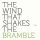 BRODERICK, PETER - THE WIND THAT SHAKES THE BRAMBLE - LPD