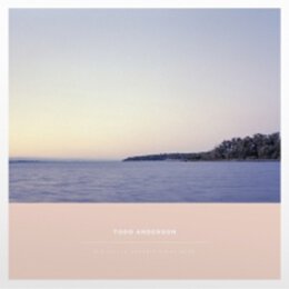 Todd Anderson - Die Stille Schreit Nicht Mehr LP (color)...