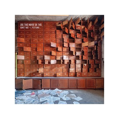 NAïT, GEINST & PETITGAND, LAURENT - LIKE THIS MAYBE OR THIS - CD