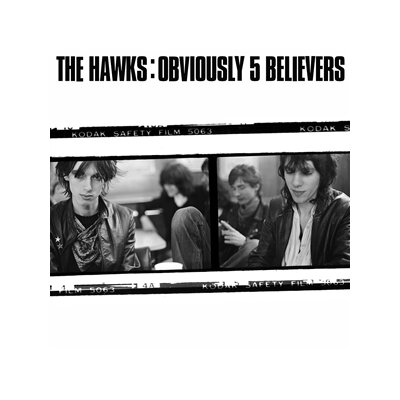 HAWKS, THE - OBVIOUSLY 5 BELIEVERS - LP