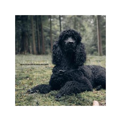 JUST FOR FUN - IM MUSEUM DER EIGENEN IRRTÜMER - CD