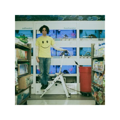 HICKEY, CHARLIE - COUNT THE STAIRS - LP