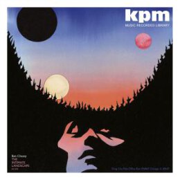 CHASNY, BEN - THE INTIMATE LANDSCAPE - CD