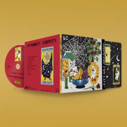 PARQUET COURTS - SYMPATHY FOR LIFE - CD