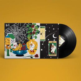 PARQUET COURTS - SYMPATHY FOR LIFE - LP
