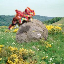 JOAKIM - SECOND NATURE - LP