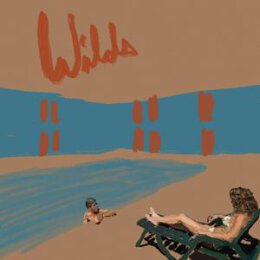SHAUF, ANDY - WILDS - CD