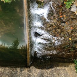 MOSS, JESSICA - PHOSPHENES - CD