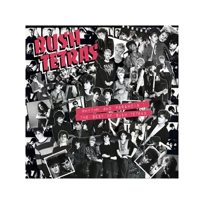 BUSH TETRAS - RHYTHM AND PARANOIA: THE BEST OF BUSH TETRAS - CD
