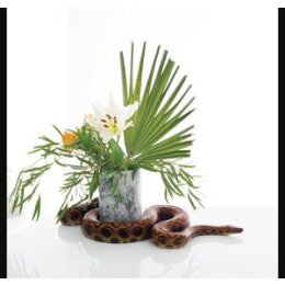 GUNDERSEN, NOAH - WHITE NOISE - CD