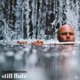 TENDERLONIOUS - STILL FLUTE - CD