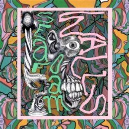 SEAFOAM WALLS - XVI (GREEN VINYL) - LP