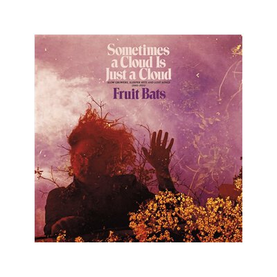 FRUIT BATS - SOMETIMES A CLOUD IS JUST A CLOUD - LP