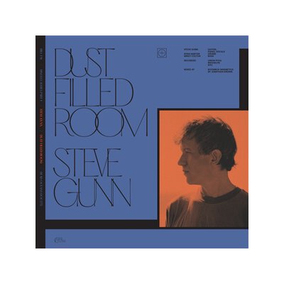 FAY, BILL / GUNN, STEVE - DUST FILLED ROOM - 7"
