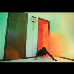 ADULT. - BECOMING UNDONE - CD