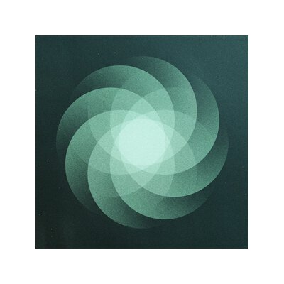 SOM - THE SHAPE OF EVERYTHING - LTD EVERGREEN ED. - LP