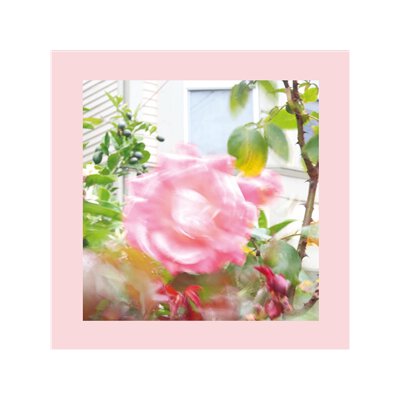 REDS, PINKS AND PURPLES, THE - SUMMER AT LANDS END - CD