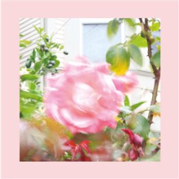 REDS, PINKS AND PURPLES, THE - SUMMER AT LANDS END - CD