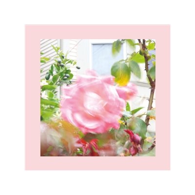 REDS, PINKS AND PURPLES, THE - SUMMER AT LANDS END (CLASSIC BLACK VINYL) - LP