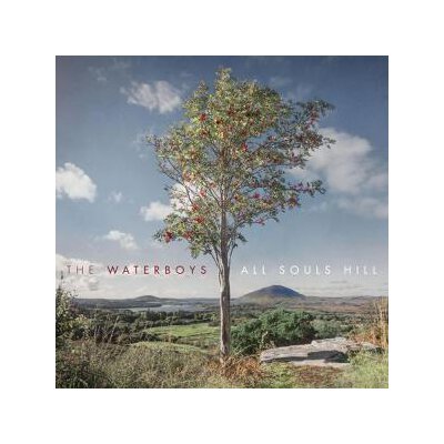 WATERBOYS, THE - ALL SOULS HILL - LP