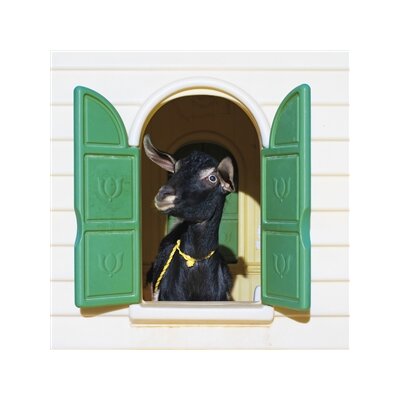 SUPERCHUNK - WILD LONELINESS - CD