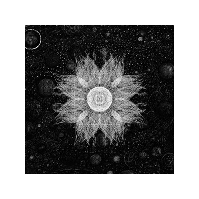 SOMNOLENT - THE INFERNAL EXPANSE - LP